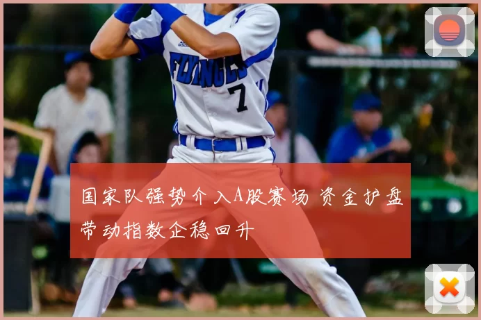 国家队强势介入A股赛场 资金护盘带动指数企稳回升