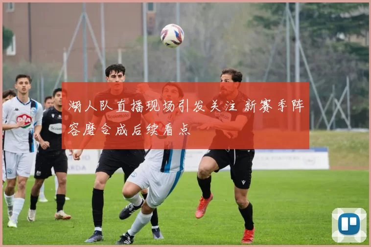 湖人队直播现场引发关注 新赛季阵容磨合成后续看点